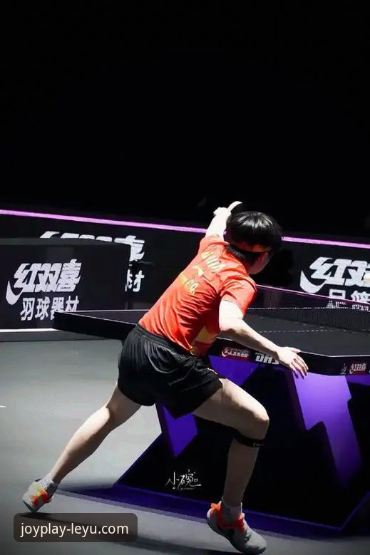 乐鱼体育随时随地观看 从新手到高手:一位资深体育迷的乐鱼体育随时随地观看实战经验